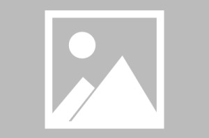阜阳朱寨镇疫情最新消息（阜阳朱寨要建旅游区吗）