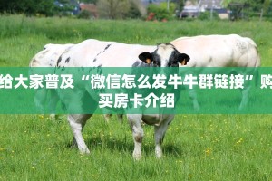 给大家普及“微信怎么发牛牛群链接”购买房卡介绍