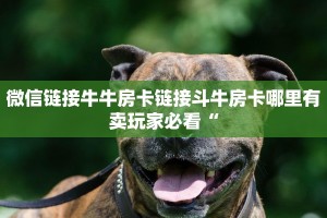 微信链接牛牛房卡链接斗牛房卡哪里有卖玩家必看“