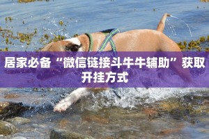 居家必备“微信链接斗牛牛辅助”获取开挂方式