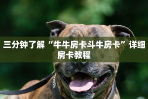三分钟了解“牛牛房卡斗牛房卡”详细房卡教程