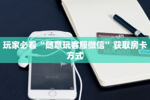 普及一下“问道手游怎么买药便宜点”教程房卡分享