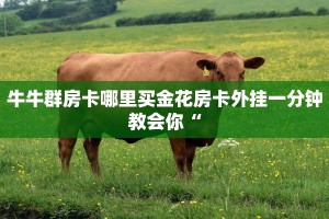 牛牛群房卡哪里买金花房卡外挂一分钟教会你“