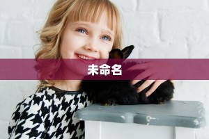 新众乐大厅在哪买房卡新人海大厅在哪里买房卡”获取玩金花房卡链接教程
