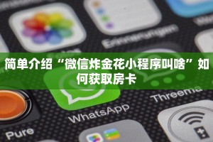 简单介绍“微信炸金花小程序叫啥”如何获取房卡