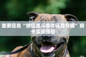 重要信息“微信里斗牛牛链接在哪”房卡实战经验
