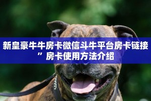 新皇豪牛牛房卡微信斗牛平台房卡链接”房卡使用方法介绍