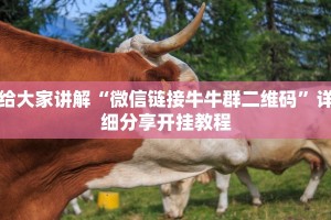 给大家讲解“微信链接牛牛群二维码”详细分享开挂教程