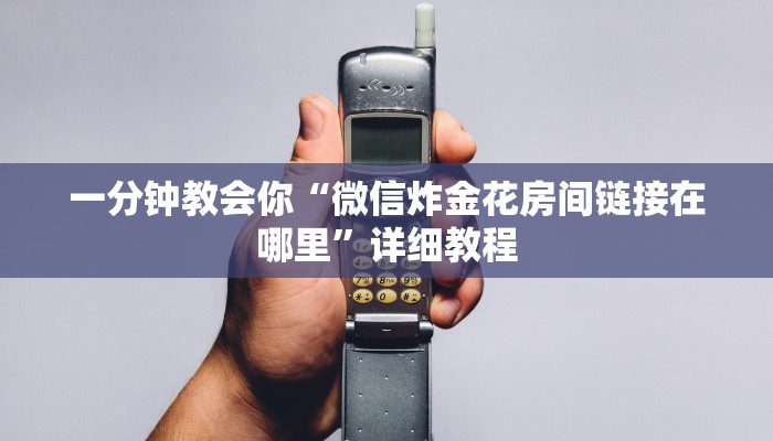 一分钟教会你“微信炸金花房间链接在哪里”详细教程