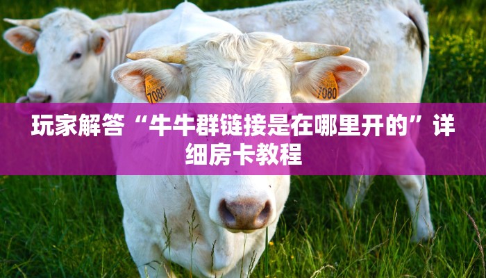 玩家解答“牛牛群链接是在哪里开的”详细房卡教程