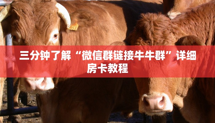 7分钟了解“微信链接金花房卡怎么弄”房卡使用方法介绍