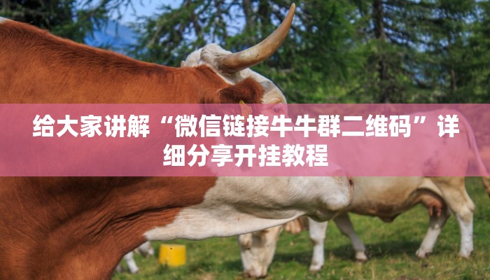 给大家讲解“微信链接牛牛群二维码”详细分享开挂教程