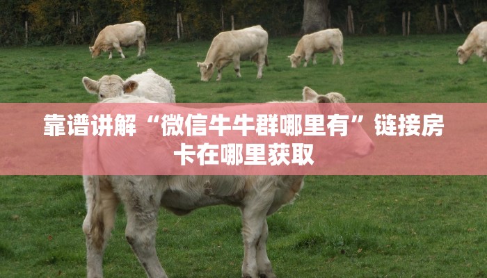 靠谱讲解“微信牛牛群哪里有”链接房卡在哪里获取