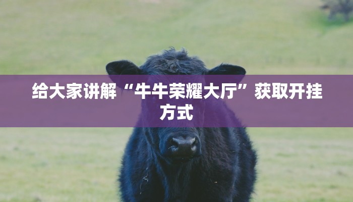 玩家必备“微信金花房卡”科普玩家房卡