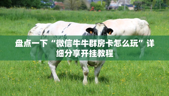 大圣大厅房卡官方客服手游问道怎么买道行”获取房卡方式