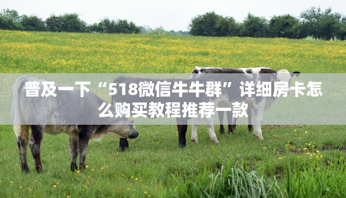 盘点一下“牛牛金花房卡软件”详细房卡怎么充值教程
