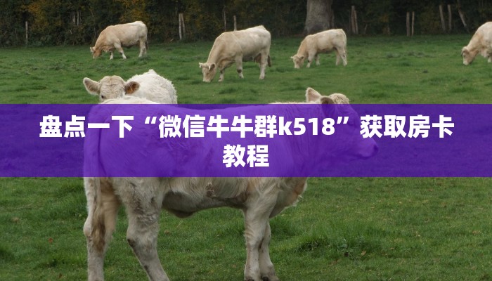 盘点一下“微信牛牛群k518”获取房卡教程