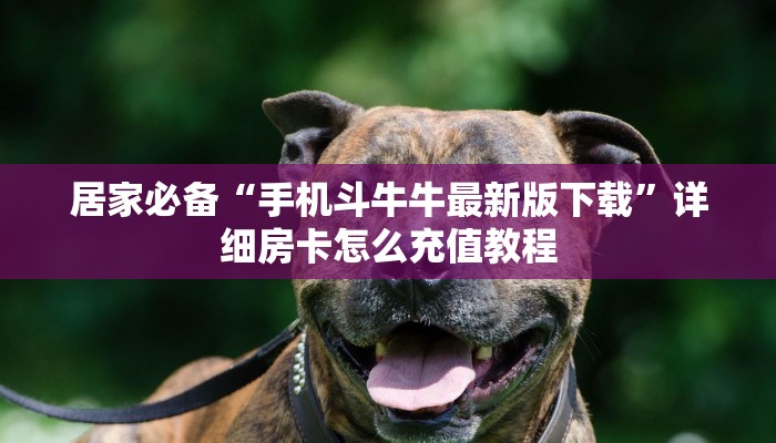 哪里有卖微信炸金花房卡新天道大厅买房卡”详细房卡怎么充值教程
