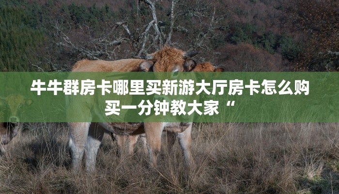 牛牛群房卡哪里买新游大厅房卡怎么购买一分钟教大家“