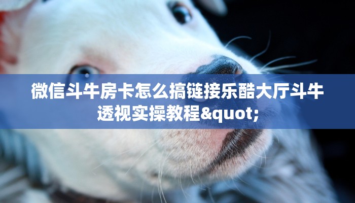 微信斗牛房卡怎么搞链接乐酷大厅斗牛透视实操教程"