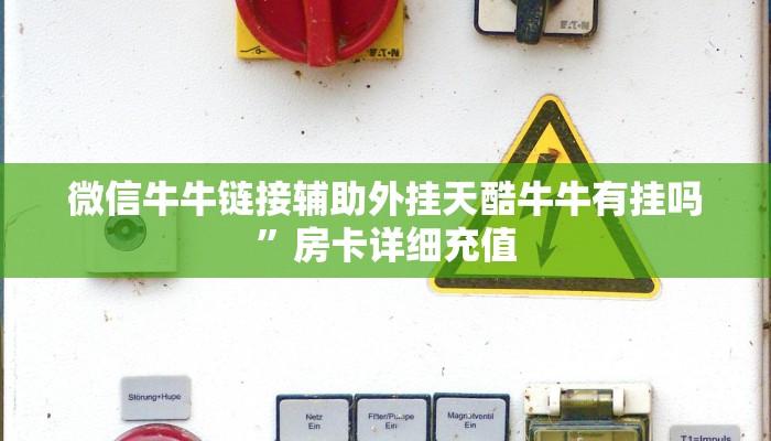 微信牛牛链接辅助外挂天酷牛牛有挂吗”房卡详细充值