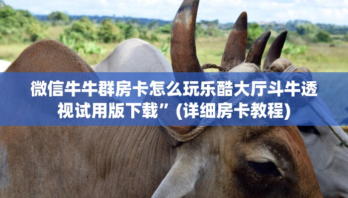 微信牛牛群房卡怎么玩乐酷大厅斗牛透视试用版下载”(详细房卡教程)