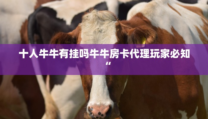 十人牛牛有挂吗牛牛房卡代理玩家必知“