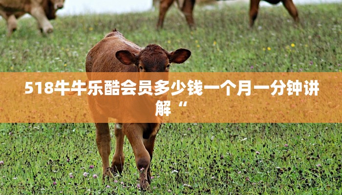 518牛牛乐酷会员多少钱一个月一分钟讲解“