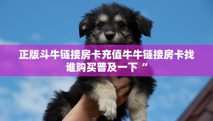 正版斗牛链接房卡充值牛牛链接房卡找谁购买普及一下“